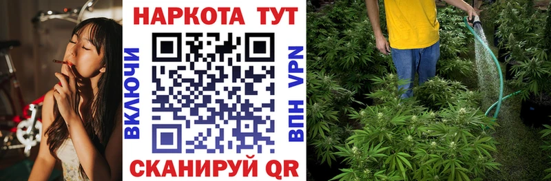 Канабис Канаш