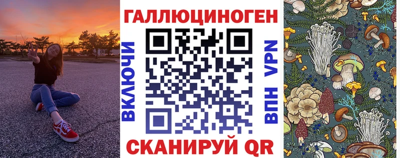 МЕГА онион  мориарти какой сайт  Канаш  Псилоцибиновые грибы GOLDEN TEACHER  где найти  