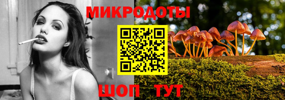 Галлюциногенные грибы прущие грибы Канаш