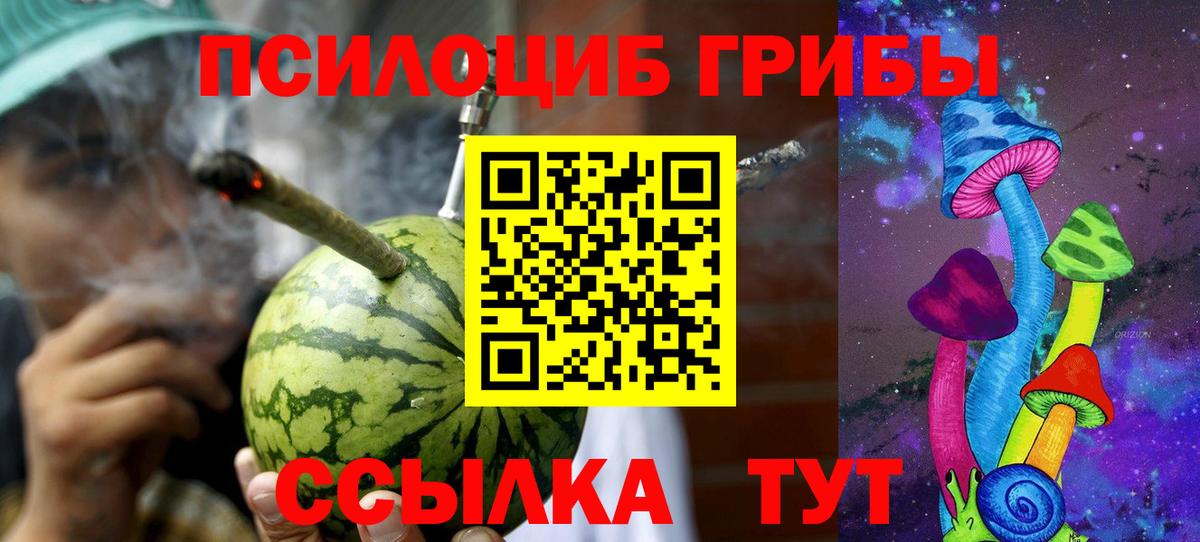 Галлюциногенные грибы MAGIC MUSHROOMS  Вход с VPN  Галлюциногенные грибы Psilocybine cubensis  Канаш 